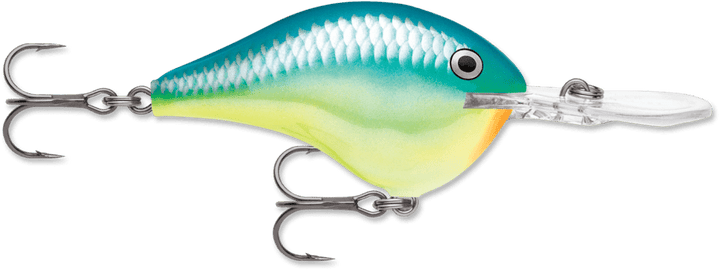 Rapala - DT Series Crankbait Rapala 16' Caribbean Shad 