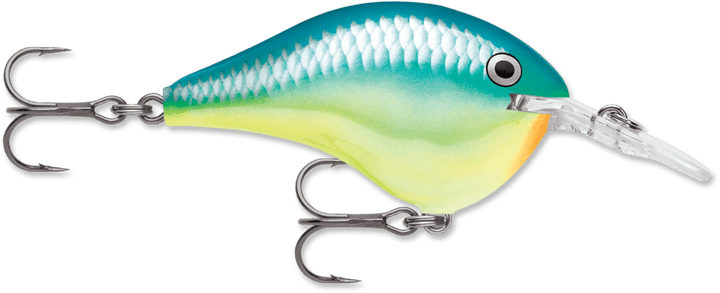 Rapala - DT Series Crankbait Rapala 4' Caribbean Shad 