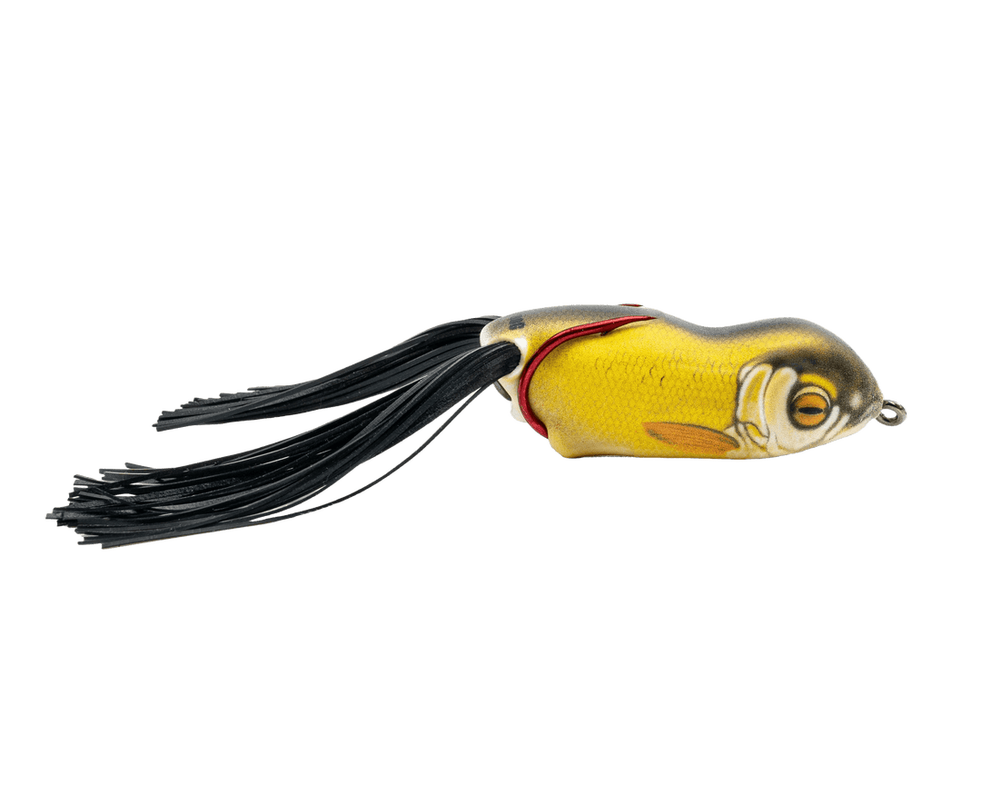 Scum Frog - Launch Frog XS Scum Frog Golden Shiner 