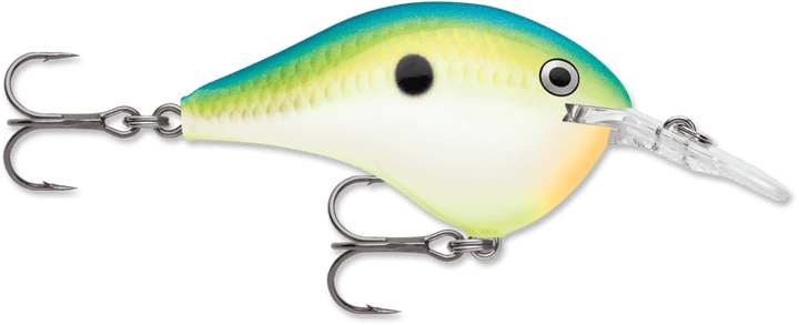 Rapala - DT Series Crankbait Rapala 4' Citrus Shad 