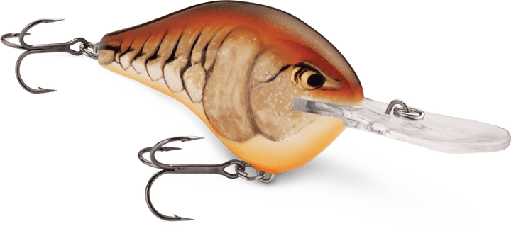 Rapala - DT Series Crankbait Rapala 10' Mule 