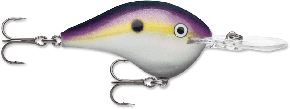 Rapala - DT Series Crankbait Rapala 16' Big Shad 