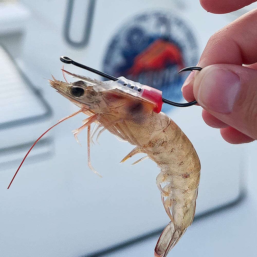 Our ShrimpWalker hooks are available for purchase!!! #liveshrimp#livec