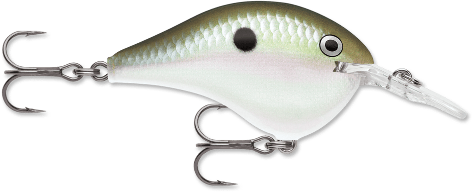 Rapala - DT Series Crankbait Rapala 4' Green Gizzard Shad 