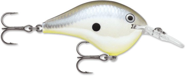 Rapala - DT Series Crankbait Rapala 6' Disco Shad 