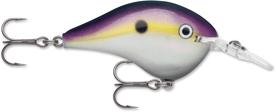 Rapala - DT Series Crankbait Rapala 4' Big Shad 