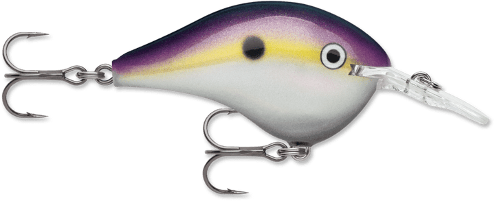 Rapala - DT Series Crankbait Rapala 4' Big Shad 