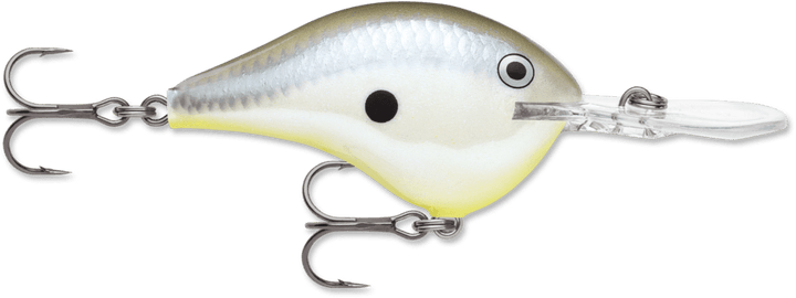 Rapala - DT Series Crankbait Rapala 10' Disco Shad 