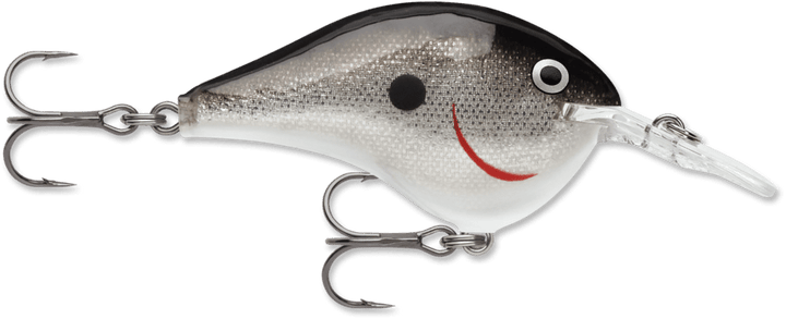 Rapala - DT Series Crankbait Rapala 6' Silver 