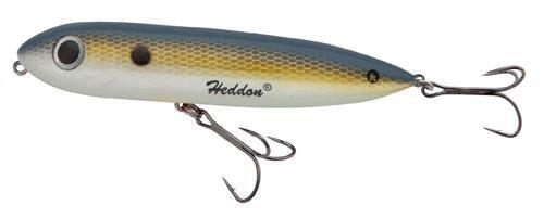 Heddon One Knocker Spook Lure Heddon Lures 3/4oz Foxy Shad 